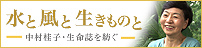 水と風と生きものと